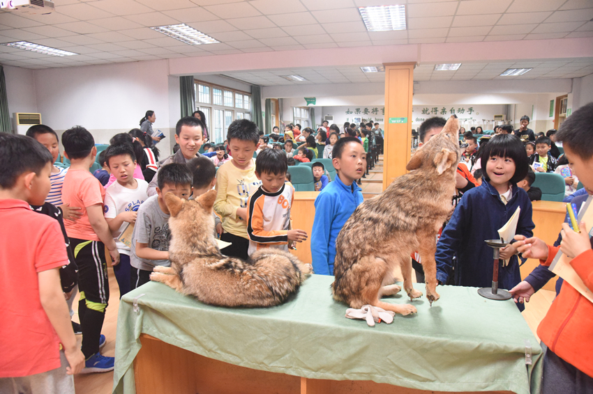 1527054532130344.jpg DSC_0622_副本.jpg