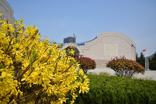 DSC_9665.JPG