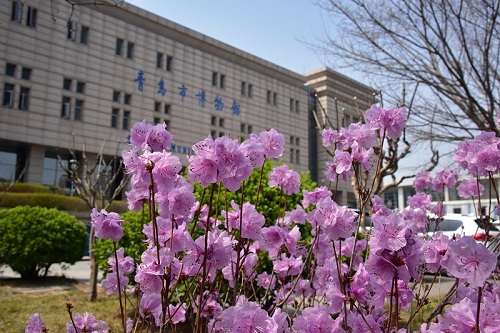 1585873581316530.jpg DSC_9672.JPG